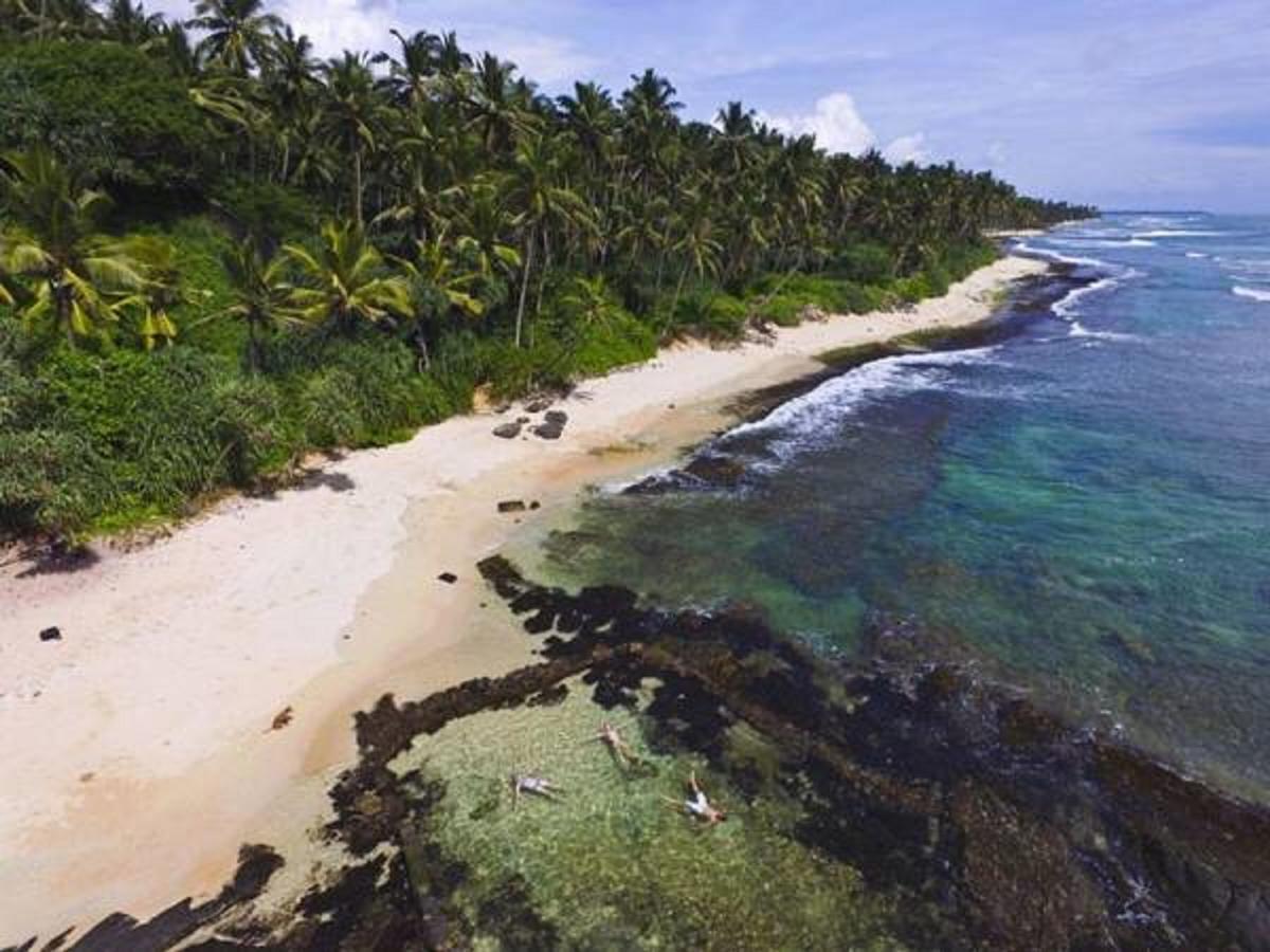 Mirissa Harbour View Hotel Bagian luar foto